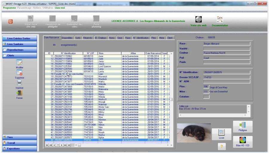 screenshot061.jpg