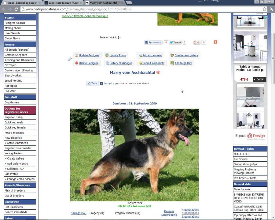 screenshot031.jpg
